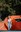 resize-2.jpeg