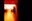 bild1.jpg