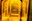 bild8.jpg