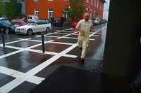 bild8.jpg