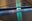 bild11.jpg
