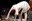 Bild20.jpg