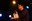Bild28.jpg