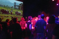 Bild12.jpg