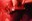 Bild20.jpg