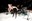 aktionstheater_welche_krise-_02.jpg