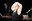 aktionstheater_welche_krise-_04.jpg