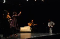 Diferencias Flamencas 5