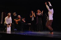 Diferencias Flamencas 9