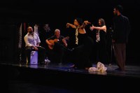 Diferencias Flamencas 11