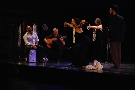 Diferencias Flamencas 11
