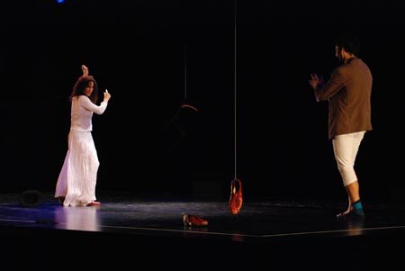 Diferencias Flamencas 15
