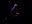 how_gelbc_thomas_kuschny10.jpg