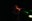 Bild10