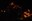 Bild11