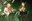 Bild03