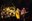 living_colour_03.jpg