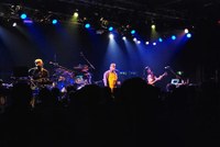 living_colour_07.jpg