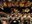 bozzio_holdsworth_levin_mastelotto09.jpg