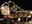bozzio_holdsworth_levin_mastelotto13.jpg
