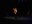 wickie_provinztheater_egg_05.jpg