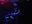 audio_wild_hog_and_guitar_01.jpg
