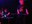 audio_wild_hog_and_guitar_02.jpg