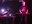 audio_wild_hog_and_guitar_05.jpg
