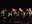 concertino_07.jpg