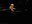 profile_jazzfestival_christian_muthspiel_03.jpg