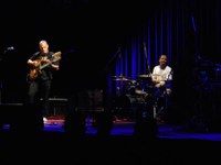 profile_jazzfestival_david_fiuczynski_12.jpg