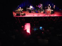 profile_jazzfestival_david_fiuczynski_21.jpg