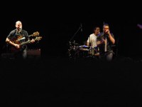 profile_jazzfestival_david_fiuczynski_25.jpg