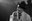 andre_williams_by_karlheinz_voegel_11.jpg
