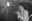 andre_williams_by_karlheinz_voegel_18.jpg
