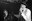 andre_williams_by_karlheinz_voegel_20.jpg