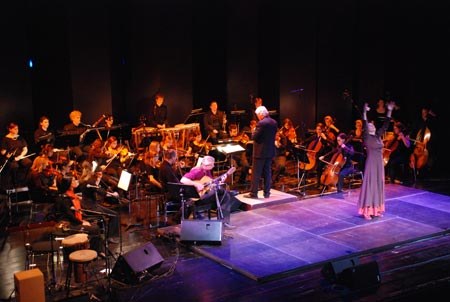 flamenco_2010_kulturhaus_dornbirn_04.jpg