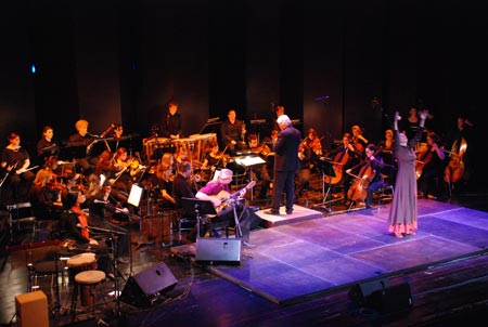 flamenco_2010_kulturhaus_dornbirn_04.jpg