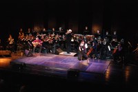 flamenco_2010_kulturhaus_dornbirn_16.jpg