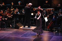 flamenco_2010_kulturhaus_dornbirn_28.jpg