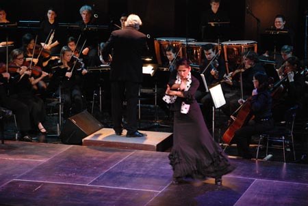 flamenco_2010_kulturhaus_dornbirn_29.jpg