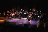 flamenco_2010_kulturhaus_dornbirn_30.jpg