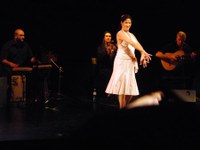 tanz_ist_cuadro_flamenco__09.jpg