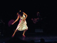 tanz_ist_cuadro_flamenco__10.jpg