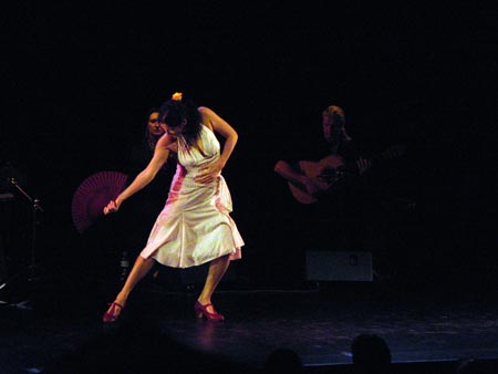 tanz_ist_cuadro_flamenco__10.jpg