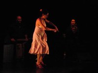 tanz_ist_cuadro_flamenco__11.jpg