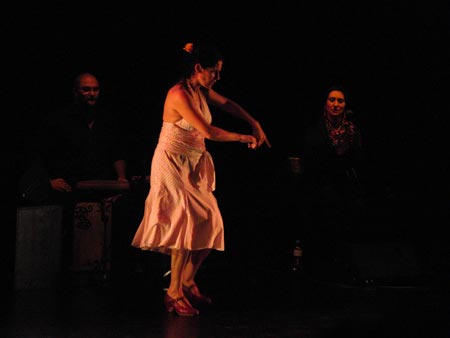 tanz_ist_cuadro_flamenco__11.jpg
