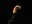 tanz_ist_cuadro_flamenco__14.jpg