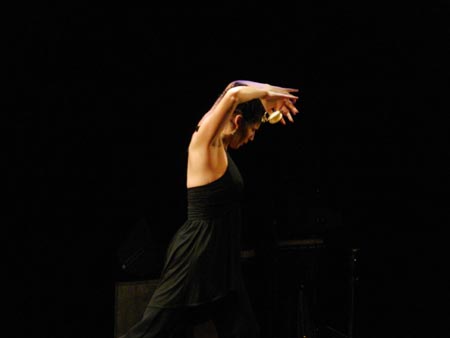 tanz_ist_cuadro_flamenco__14.jpg