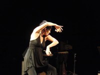 tanz_ist_cuadro_flamenco__15.jpg